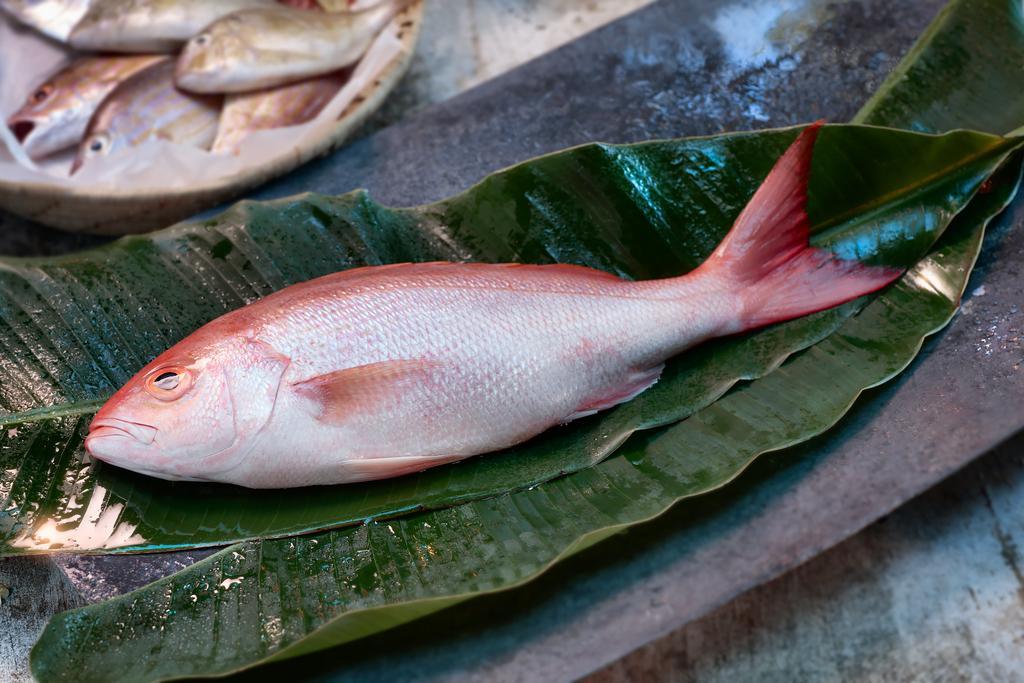 Casa De Areia 호텔 지조카 데 제리콰콰라 외부 사진